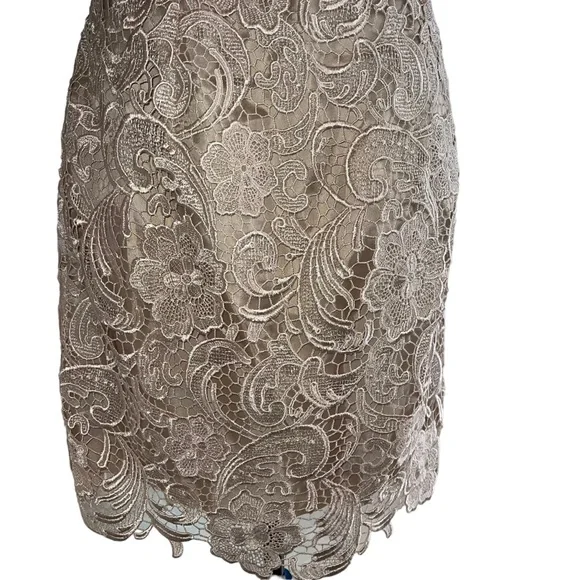 Adrianna Papell Boutique Women’s Sheath Dress Champagne Lace Over Lay Size 8 - Picture 5 of 10